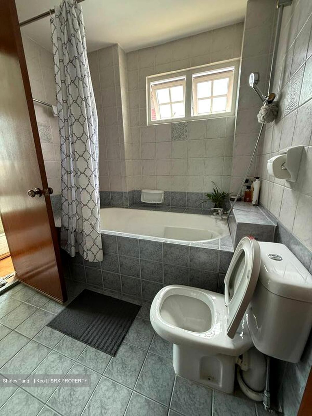 Braddell Heights Estate (D13), Detached #517075291